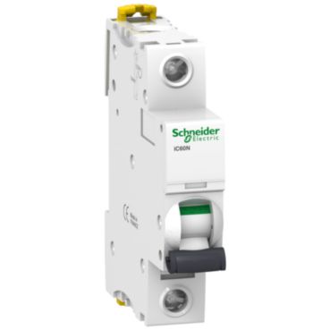Schneider MCB IC60N A9F74163